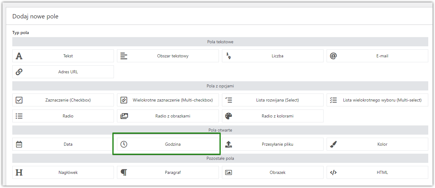 Typy pól - pole godzina
