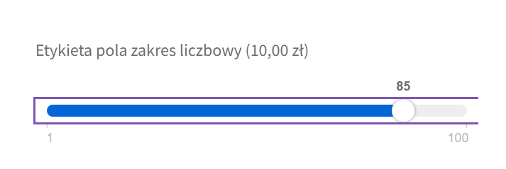 Zakres liczbowy - pole na stronie produktu